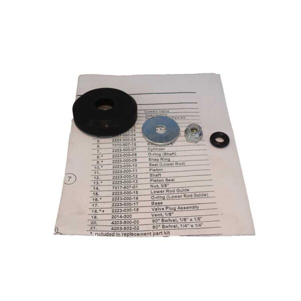 Combo Valve Plug Assy