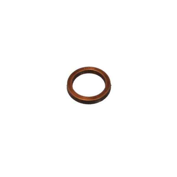 Schmidt Thompson Valve 1 Plunger Seal